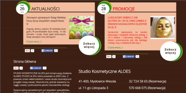 Portfolio ITCore - Studio Kosmetyczne Aloes